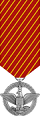 AF Combat Action Medal
