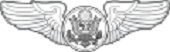 Aircrew (Enlisted)