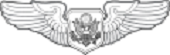 Aircrew (Officer)