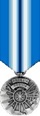 Navy Arctic Service