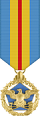 Def Dist Serv Medal