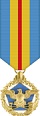 Def Dist Serv Medal