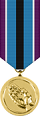 Humanitarian Service