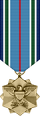 Joint Serv Achievement