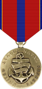 Navy Reserve MSM