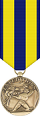 Navy Expeditionary