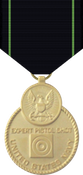 Navy Expert Pistol