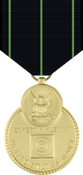Navy Expert Rifle